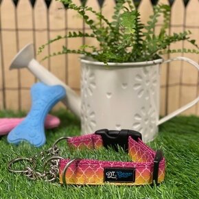 DT Gear - Martingale Ombre Rose