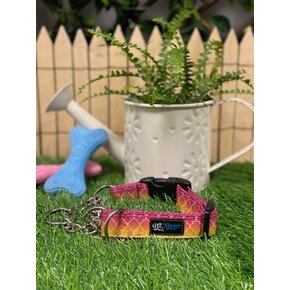 DT Gear DT Gear - Martingale Ombre Rose