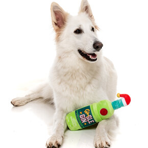 FuzzYard - Gin-gle-gin