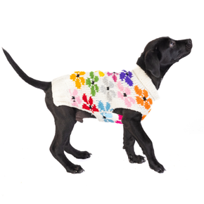Chilly Dog Sweaters Chilly Dog Sweaters - Bloom