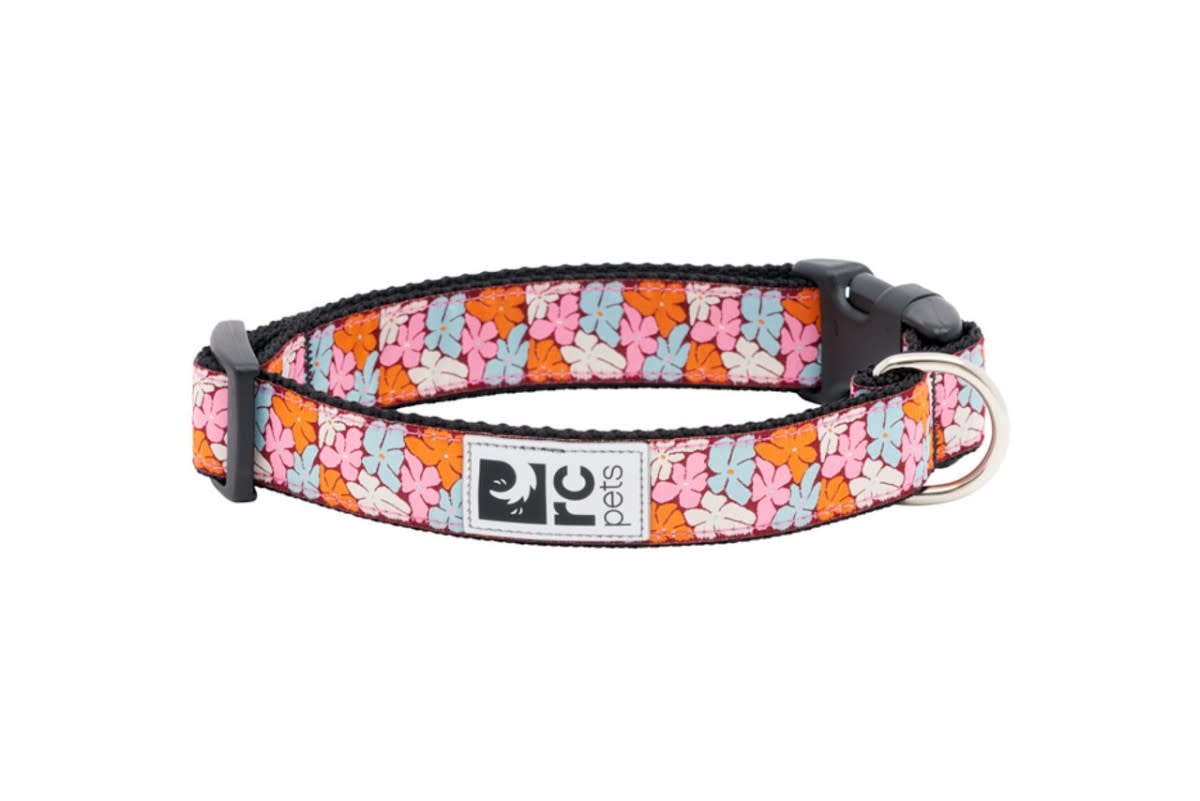 RC Pets Clip Collar BOHO Unleashed