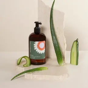 Dandylion Dandylion - Soothe Gentle Cleansing Dog Shampoo 473ml