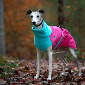 Chilly Dogs  - GWN Long&Lean CANDY FLOSS