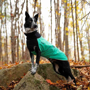 Chilly Dogs  - GWN Long&Lean JADE