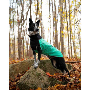Chilly Dogs Jackets Chilly Dogs  - GWN Long&Lean JADE