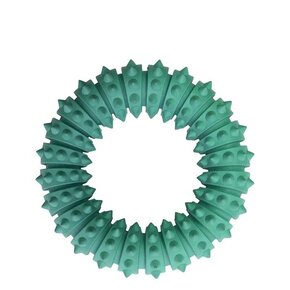 Pawtek Pawtek - Dental Toy - Dental Ring-Shaped Green LG (24)