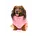 FuzzYard FuzzYard Apparel - Turtle Teddy - Pink
