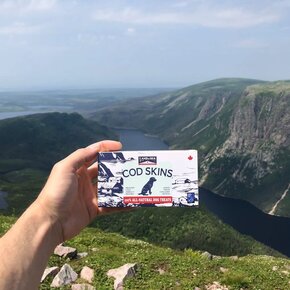 Land & Sea - Cod Skin Quality Cuts 50g- Treat Box