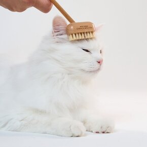 Puppy Gallery - Katin Allo Grooming Cat Brush  - Wood