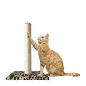 Cloe e Cluzo Cloe e Cluzo - Cat Scratch Post "Madrid" 16x16x24