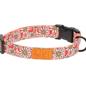 RC Pets - Eco Clip Collar - Daisy Joy