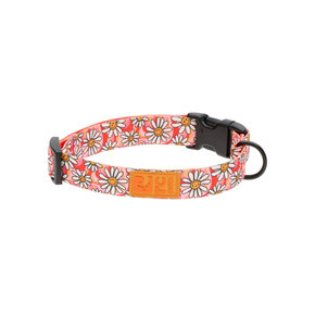 RC Pets RC Pets - Eco Clip Collar - Daisy Joy