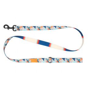RC Pets RC Pets - Eco Leash Riptide/Coastal Stripe