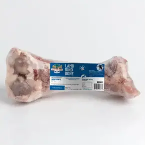 Pets Go Raw - Lamb Mini Dino Bone