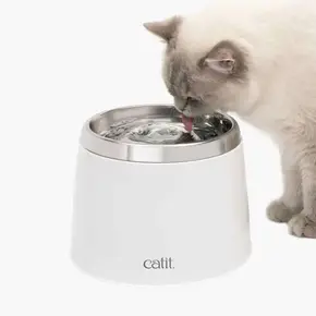 Catit Catit - Drinking Fountain - White w Stainless Steel Top - 2l