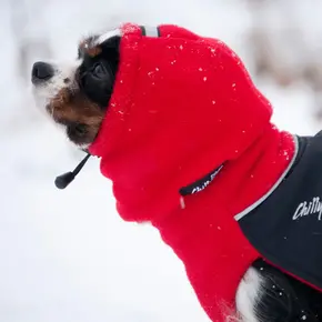 Chilly Dogs  - Head Muff RED