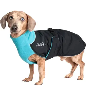 Chilly Dogs  - GWN Long&Lean Arctic Blue