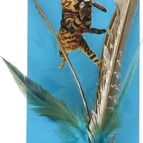 Go Cat -  Da Bird Refill