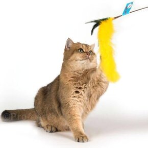 Go Cat - Long Cat Tail 36"