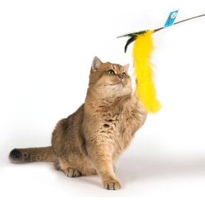 Go Cat Go Cat - Long Cat Tail 36"