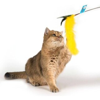 Go Cat Go Cat - Long Cat Tail 36"