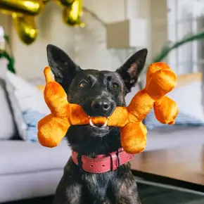 PLAY - Party Animal - Balloon Dog