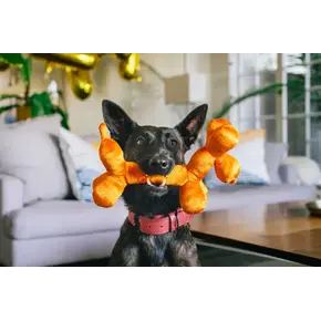 P.L.A.Y. PLAY - Party Animal - Balloon Dog