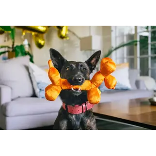 P.L.A.Y. PLAY - Party Animal - Balloon Dog