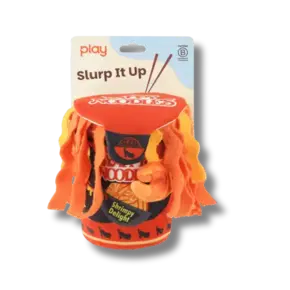 P.L.A.Y. PLAY - International Cup of Noodles