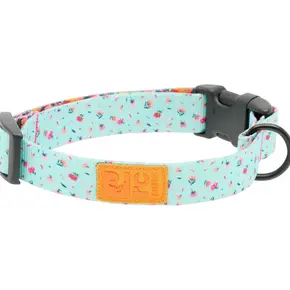 RC Pets - Eco Clip Collar - Dainty Mint