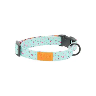 RC Pets RC Pets - Eco Clip Collar - Dainty Mint