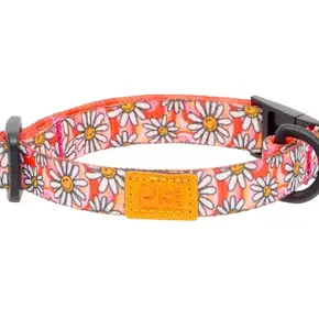 RC Pets - Kitty ECO Breakaway Collar Daisy Joy