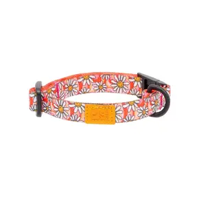 RC Pets RC Pets - Kitty ECO Breakaway Collar Daisy Joy