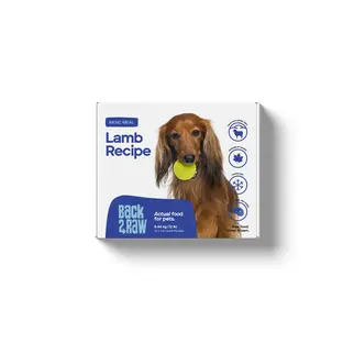 Back2Raw Back 2 Raw - Basic - Lamb 12/1lb Packs
