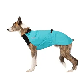 Chilly Dogs Jacket- Alpine Blazer - Turquoise