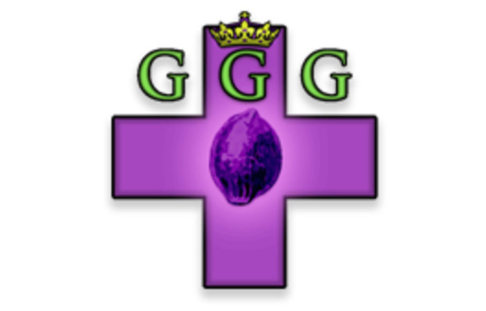Guiding Light Reg 8 pk