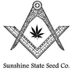 Products tagged with Kush