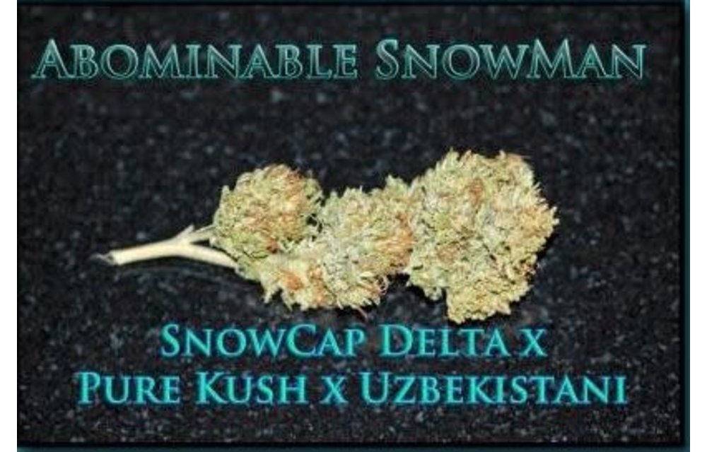 Abominable Snowman Reg 10 pk