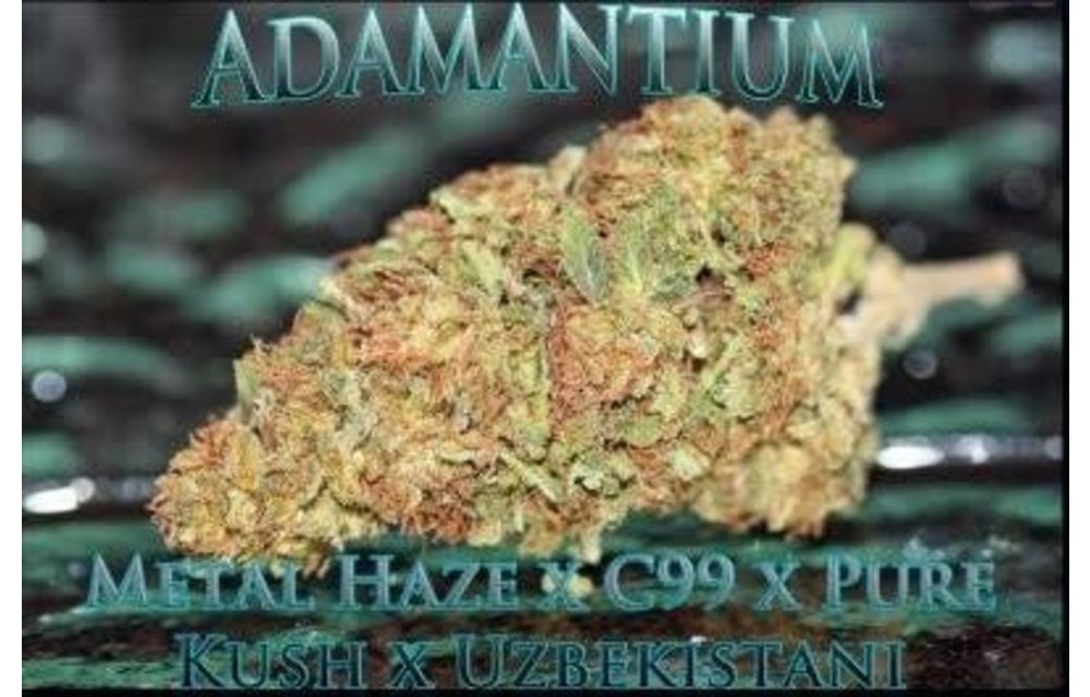 Adamantium Reg 5 pk