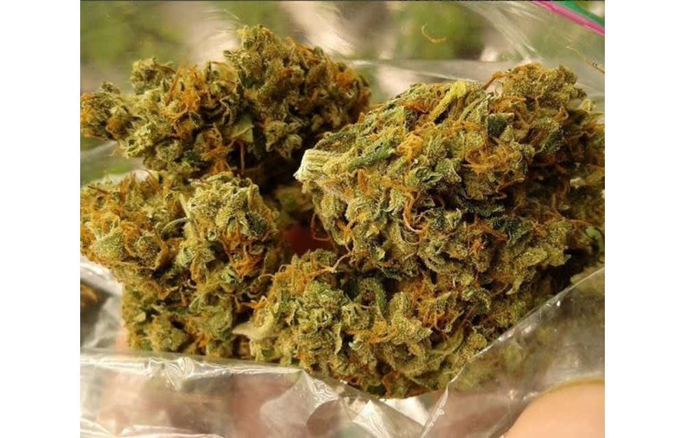 Golden Colombian Kush Reg 10 pk