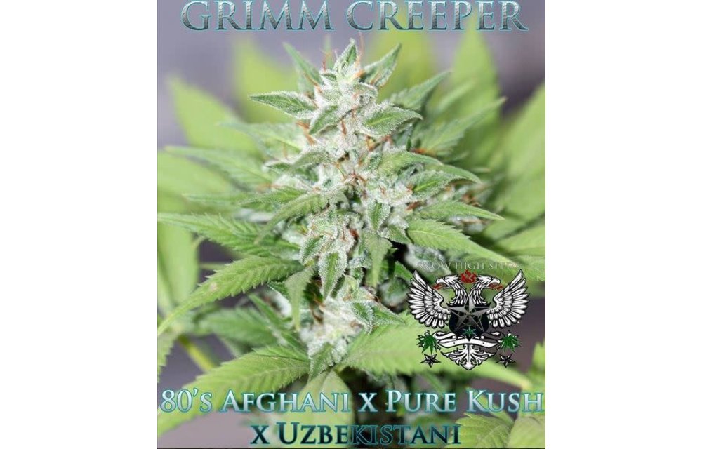 Grim Creeper Reg 10 pk