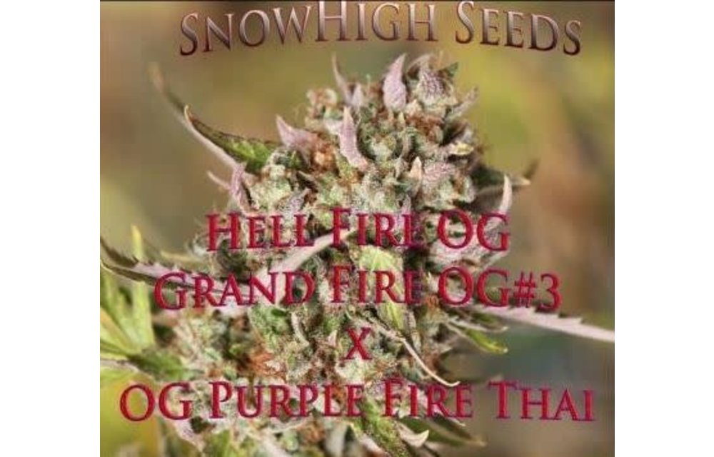 Hellfire OG Reg 10 pk