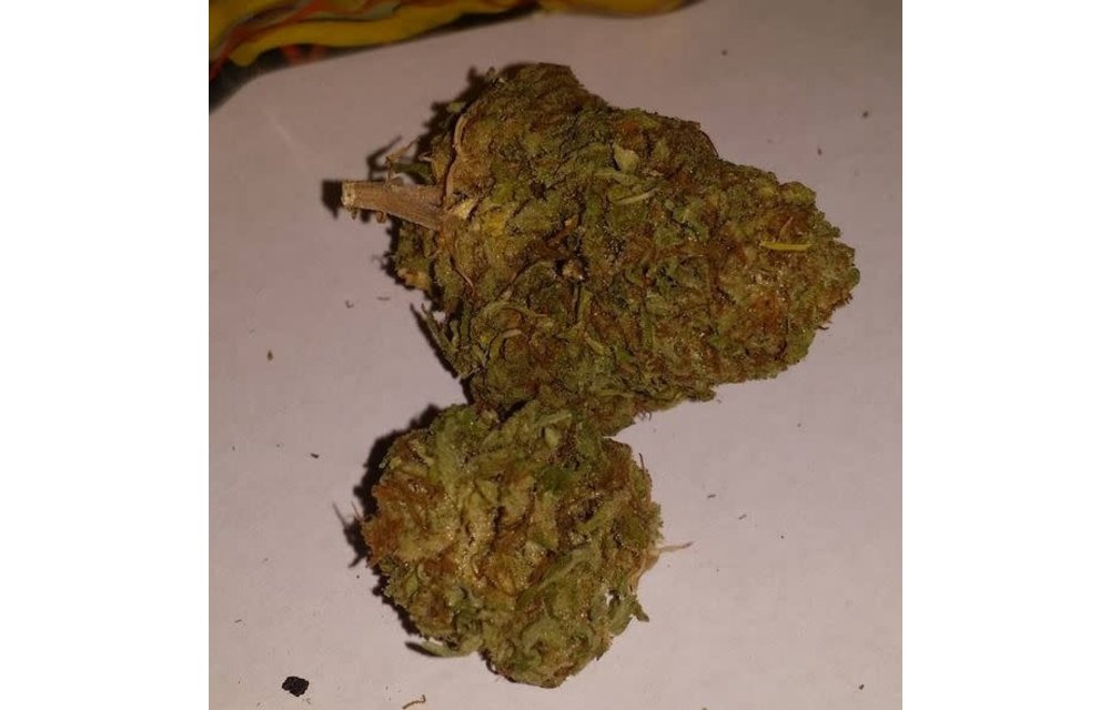 Purple Monkey Balls Reg 10 pk