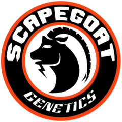 Scapegoat