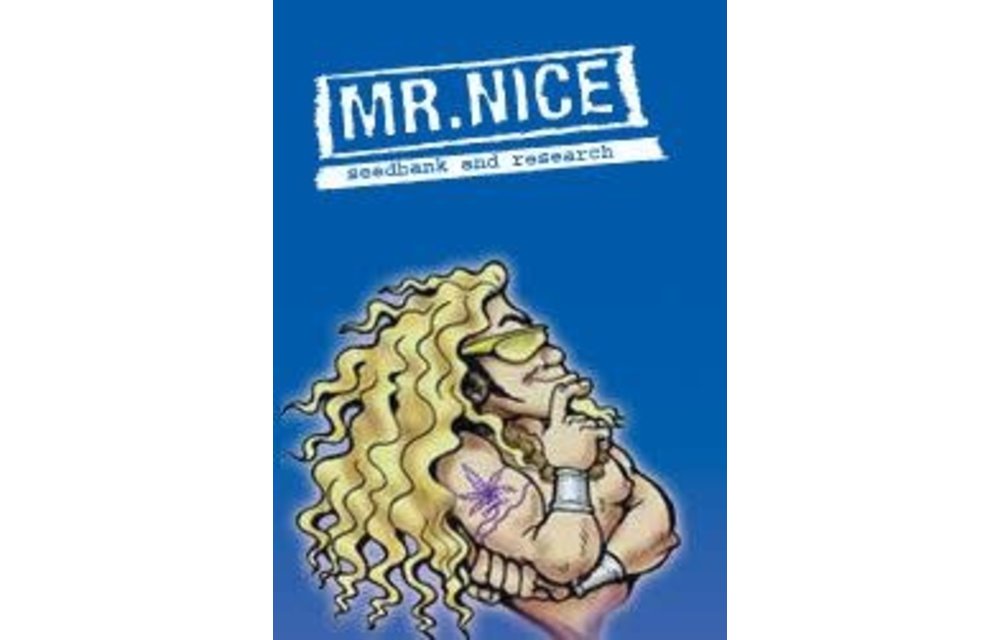 Critical Widow Reg 5 pk