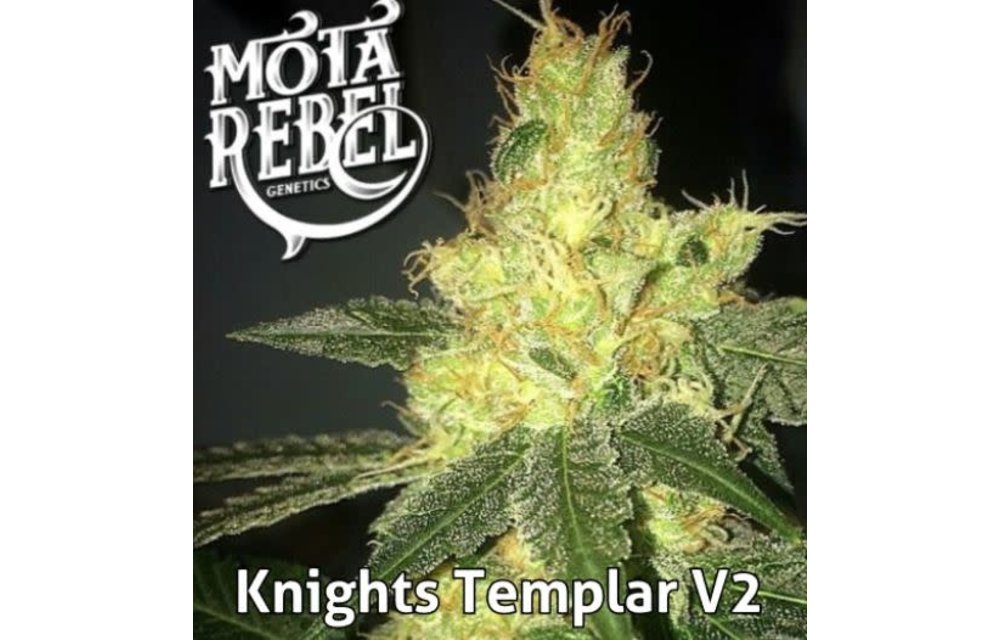 Knights Templar Reg 10 pk