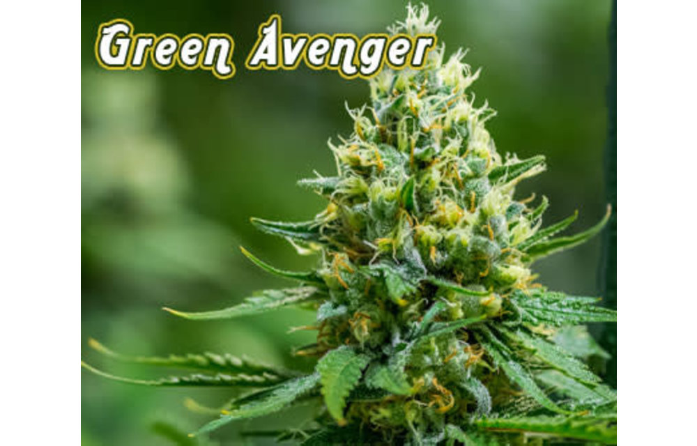 Green Avenger Reg 12 pk