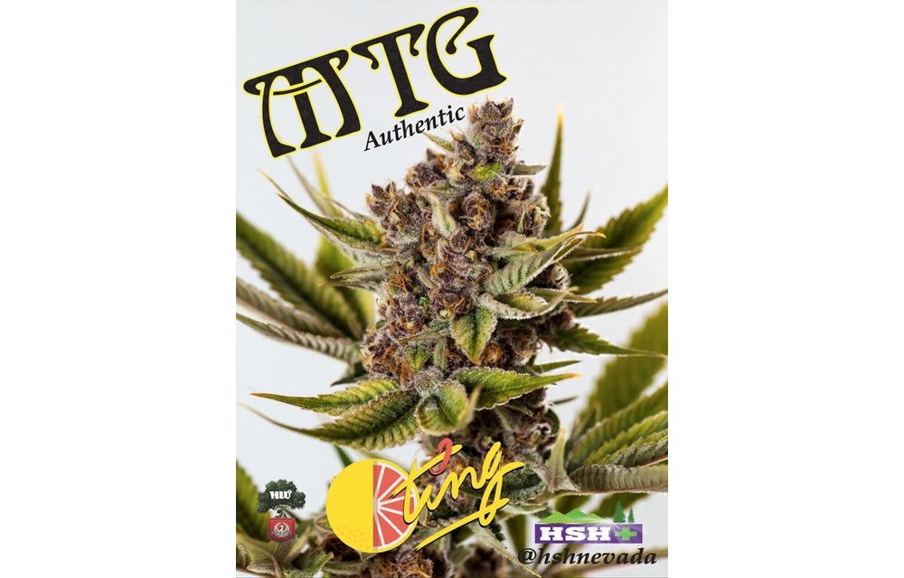 Ting Reg 10 pk