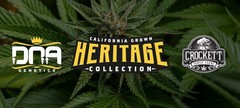 Products tagged with Kush
