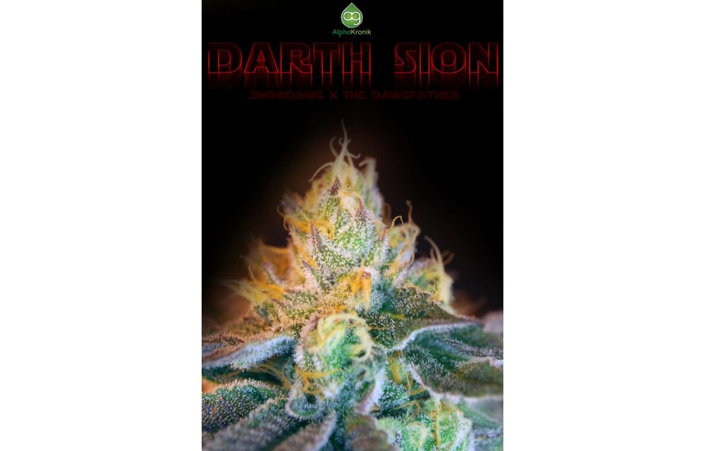 Darth Scion Reg 5 pk